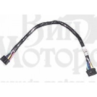 Cord - speaker